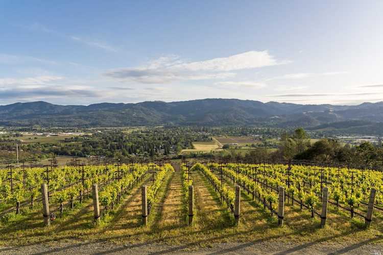 844 Meadowood Lane St. Helena, CA 94574
