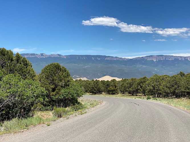 1601 Ponderosa Dr Ridgway, COLORADO 81432