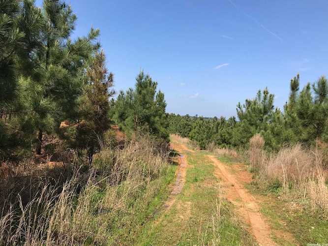 Address Withheld Okolona, AR 71962