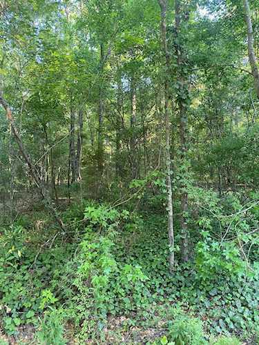 XXX Masterson Ct Tallahassee, FL 32311 in Heritage Hills Unrec Photo 1