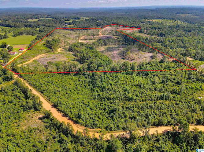 0 County Road 56 #2 Marbury, AL 36051 | MLS 1325053 Photo 1