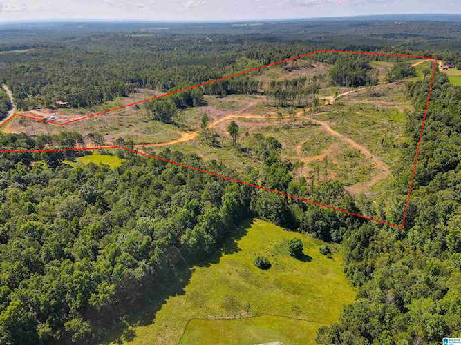 0 E County Road 20 #1 Marbury, AL 36051 | MLS 1325054 Photo 1