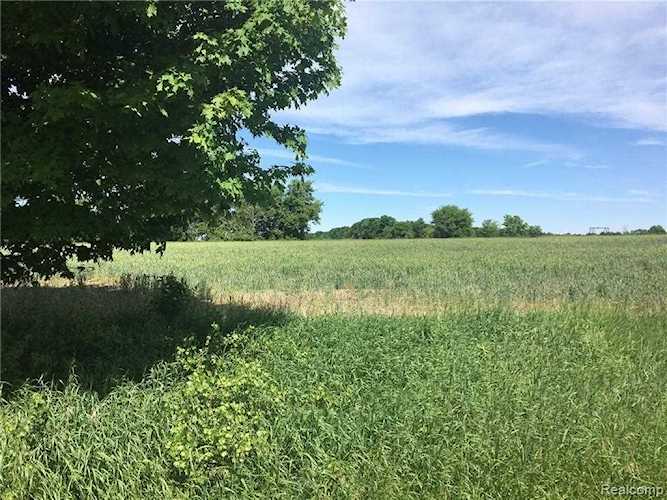Parcel E Newark Rd Attica Twp, MI 48412