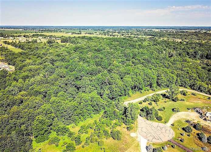 10455 Timberhill Rd Manchester Twp, MI 48158 | MLS 2220032490 Photo 1