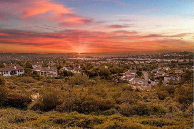 3546 Calle Palmito Carlsbad, CA 92009