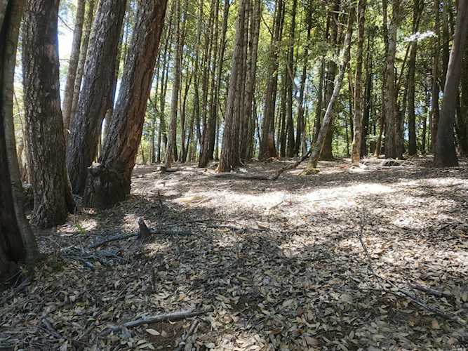 27520 Fox Road Willits, CA 95490 | MLS 322060763 Photo 1