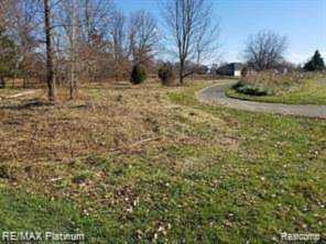 VL Emu Lot 92 Dr Putnam Twp, MI 48169
