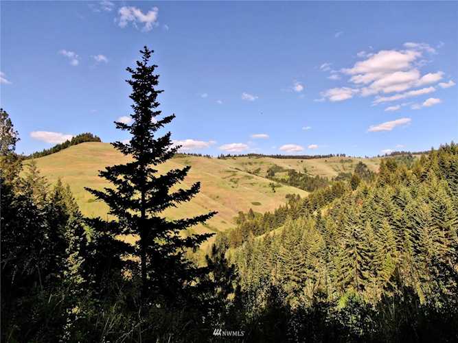 0 Blacksnake Rd Dixie, WA 99362 | MLS® 1955483 Photo 1