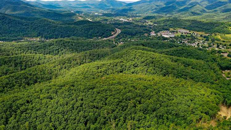 562 Knapp Hollow Rd White Sulphur Springs, WV 24986