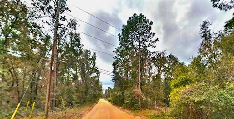 Lot 33 Gustafson Rd Other Florida, FL 32656 in Hillcrest Highlands Photo 1