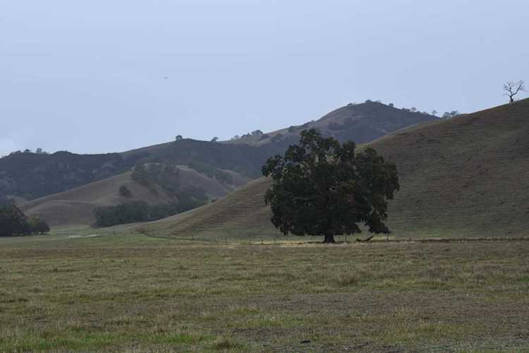 1700 Finley Road San Ramon, CA 94583