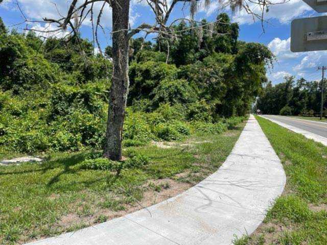 XX Trice Ln Crawfordville, FL 32327 in None Photo 1