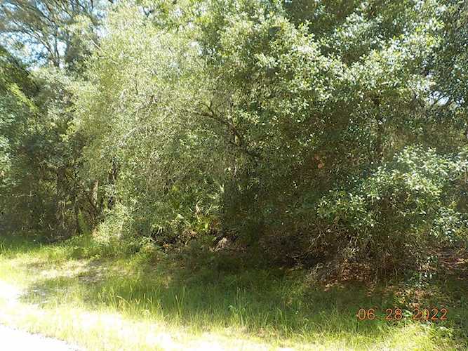 TBD SW 147 Loop Ocala, FL 34473