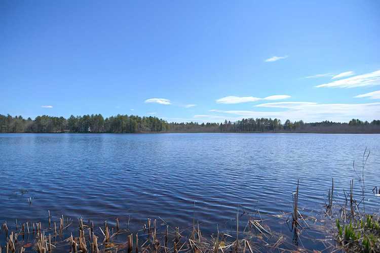 55 Flint Pond Dr Hollis, NH 03049