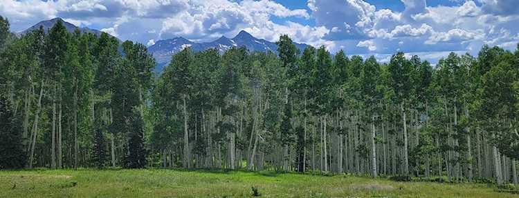 1 Raspberry Patch Rd Telluride, COLORADO 81435