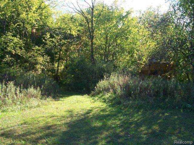 0 Church Lot 3 Rd Ira Twp, MI 48023