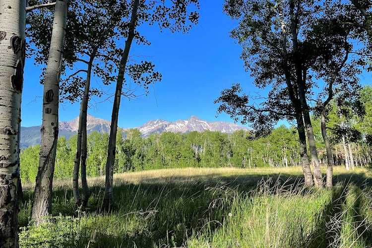 257 Saddle Horn Ln Telluride, COLORADO 81435