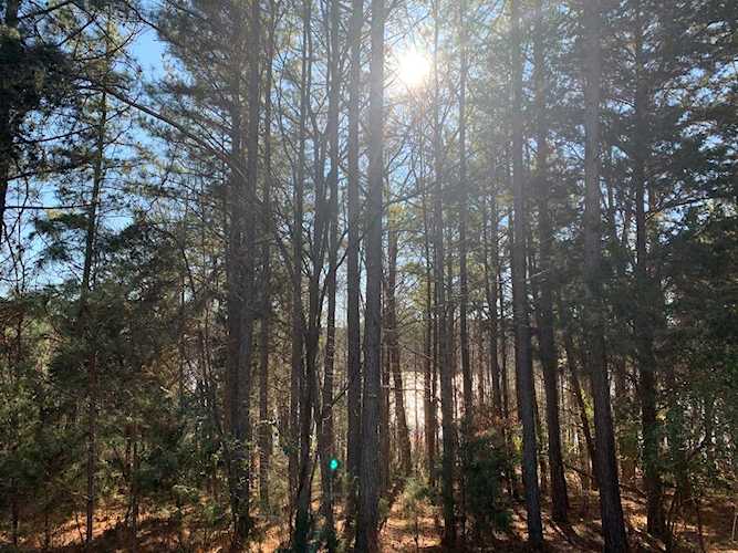 Lot 117 Island Point Gretna, VA 24557