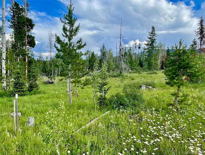 Shay Way Oak Creek, CO 80467