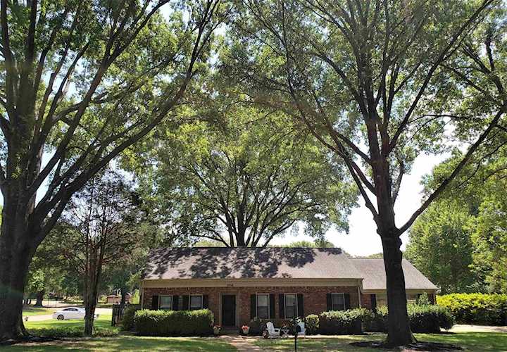 2258 Pike Wood Dr Germantown, TN 38138 | MLS 10129519 Photo 1