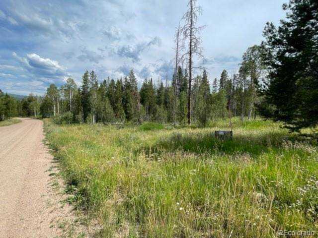 21120 Lipizzan Way Oak Creek, CO 80467 | MLS 7573294 Photo 1