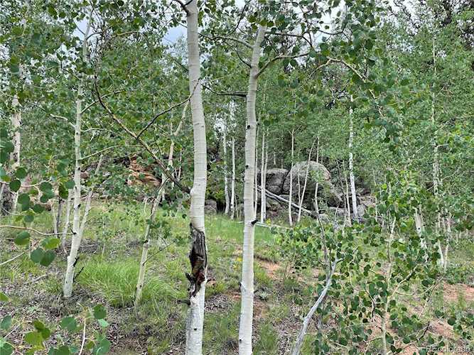 8617 Remington Rd Como, CO 80432