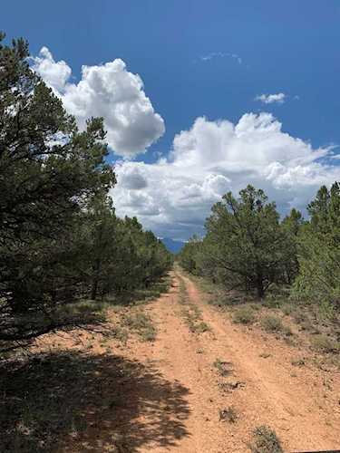 TBD Ponderosa Dr Ridgway, COLORADO 81432