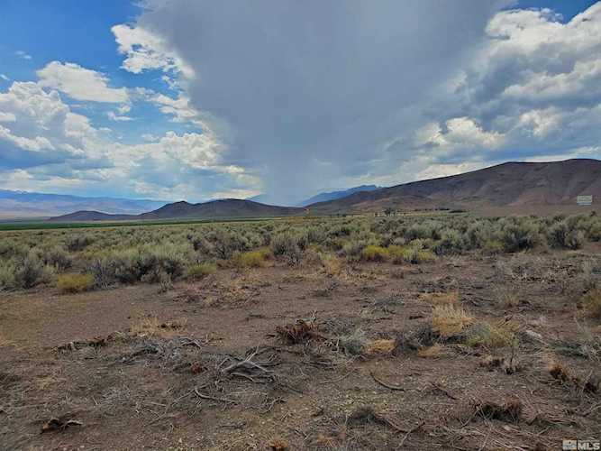 3929 Carter Dr Wellington, NV 89444 | MLS 220011710 Photo 1