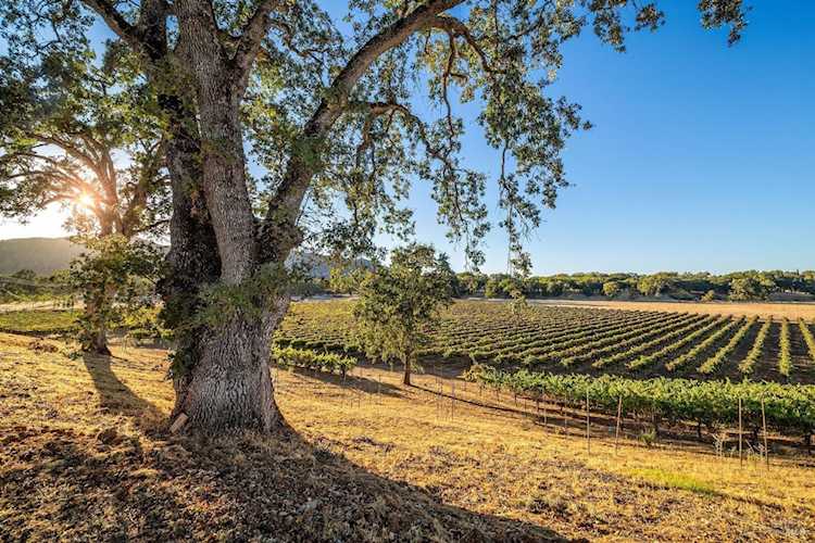 5615 Highland Springs Road Lakeport, CA 95453