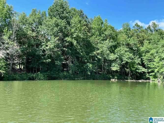 0 Christine Lane #23 Wedowee, AL 36278