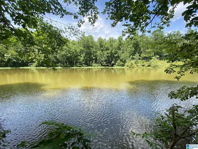0 Divided Ridge Road #Tract 9 Ragland, AL 35131