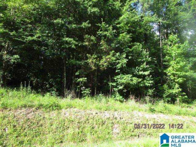 Southern Oaks Drive #55 in Odenville, AL Photo 1