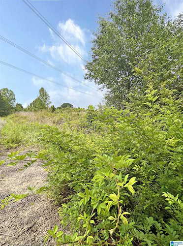 948 County Road 607 #1 Hanceville, AL 35077