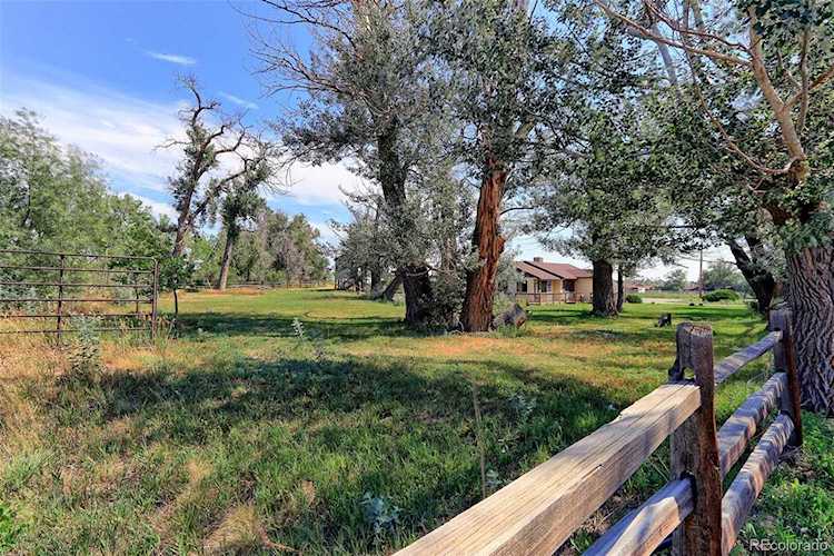 3225 E 124th Ave Thornton, CO 80241