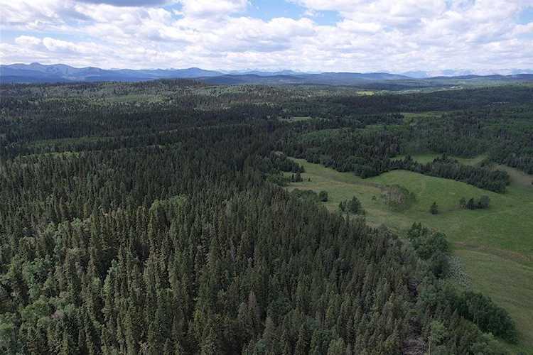 5-5-24-20 Ne & Nw Rural Rocky View County, AB T3Z 3P8