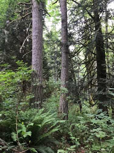 0 Scenic Dr NE #19 Poulsbo, WA 98370