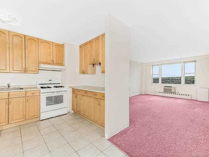 5800 Arlington Avenue #10P Bronx, NY 10471