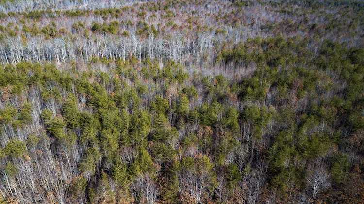 0 N Horseshoe Dr, Lot #220 Spencer, TN 38585