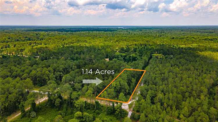 Plantation Pines Dr Georgetown, FL 32139