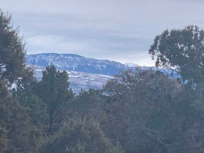 1277 Happy Trail #T: 47 Montrose, COLORADO 81403