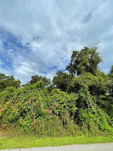 000 Richardson Rd Wakulla, FL 32327 | MLS 349804 Photo 1
