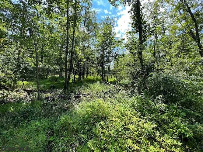 Lot 2 Julian Pike Julian, PA 16844