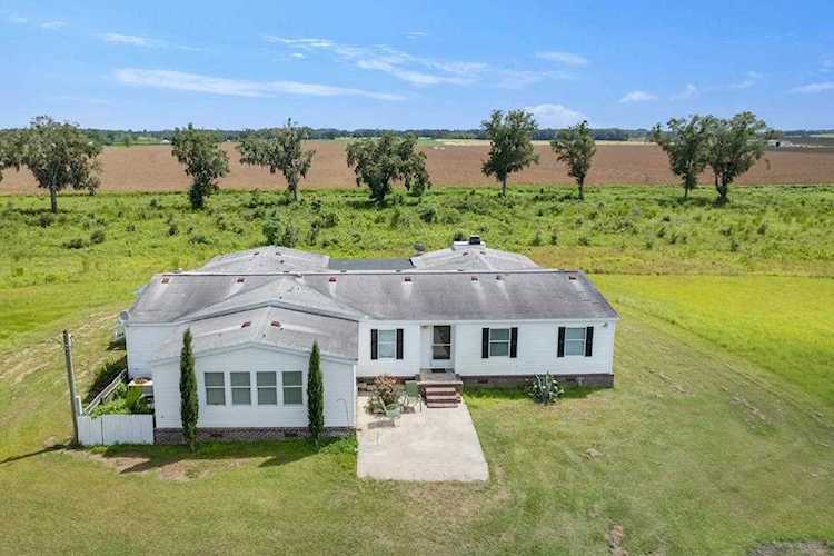 4109 NE Cattail Dr Lee, FL 32059 in None Photo 1