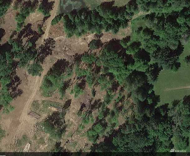 0 Lot 4 Chilvers Rd Adna, WA 98522