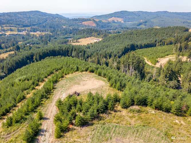 415 Bootjack Ln Kelso, WA 98626