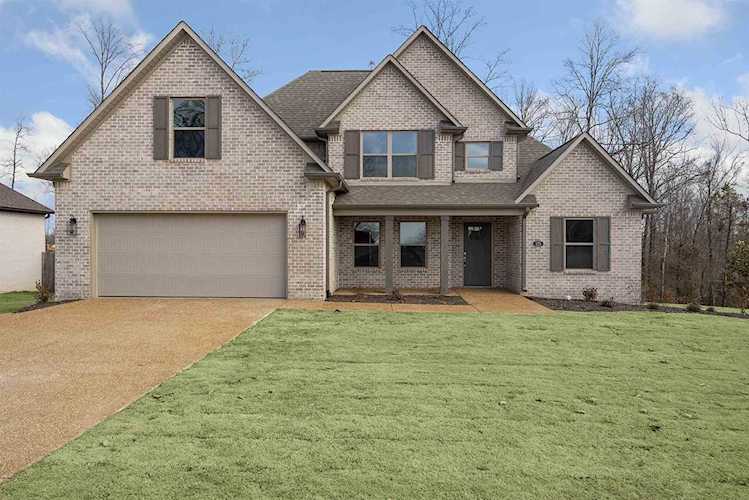 175 Willow Springs Medina, TN 38355
