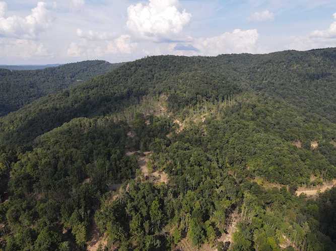 Wingfield Road Sandstone, WV 25976