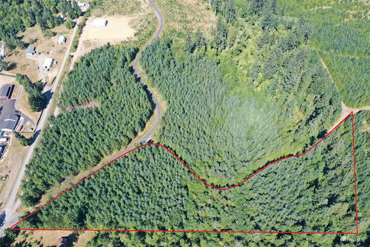 0 Little Valley Ln Castle Rock, WA 98611