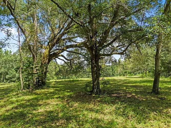 XXX Dove Field Run Tallahassee, FL 32317