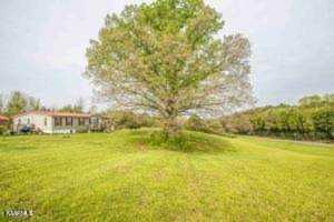10500 Stiles Ln Kodak, TN 37764